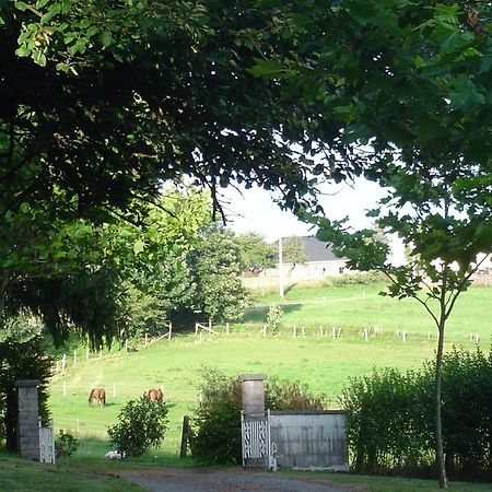 Furnished Bungalow In Monceau En Ardenne With Garden Barbecue Oizy Kültér fotó